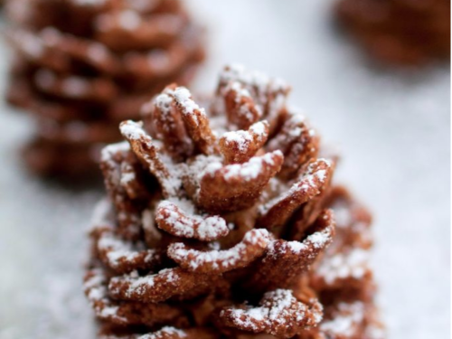 https://www.mynameissnickerdoodle.com/wp-content/uploads/2014/12/Chocolate-Pinecones-500x375.png