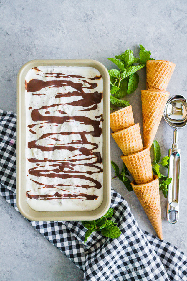 Homemade Mint Chocolate Chip Ice Cream Recipe | mynameissnickerdoodle.com