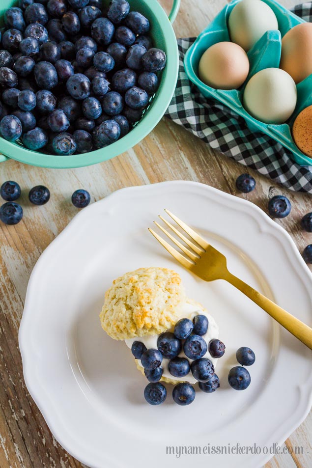 White plate with a biscuit, whipped cream and blueberries on top. 