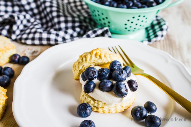 White plate with a biscuit, whipped cream and blueberries on top. 