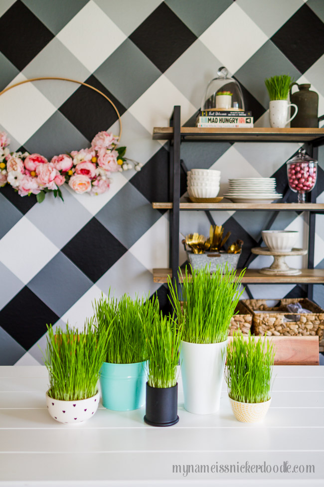 Get your Easter grass growing! Here's how to sprout this holiday staple