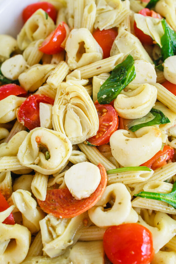 Christmas Pasta Salad Recipe By My Name Is Snickerdoodle 2910